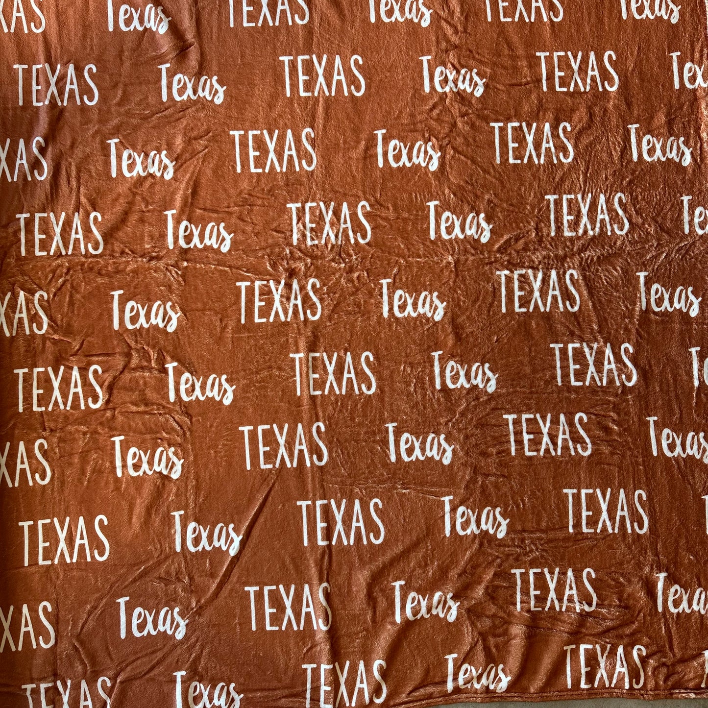 Texas Minky Blanket