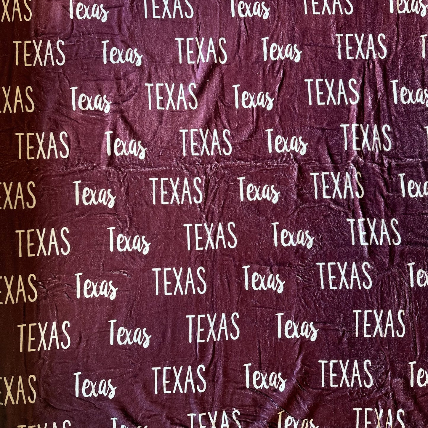 Texas Minky Blanket