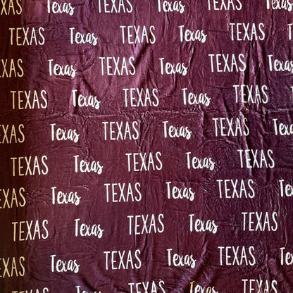Texas Minky Blanket