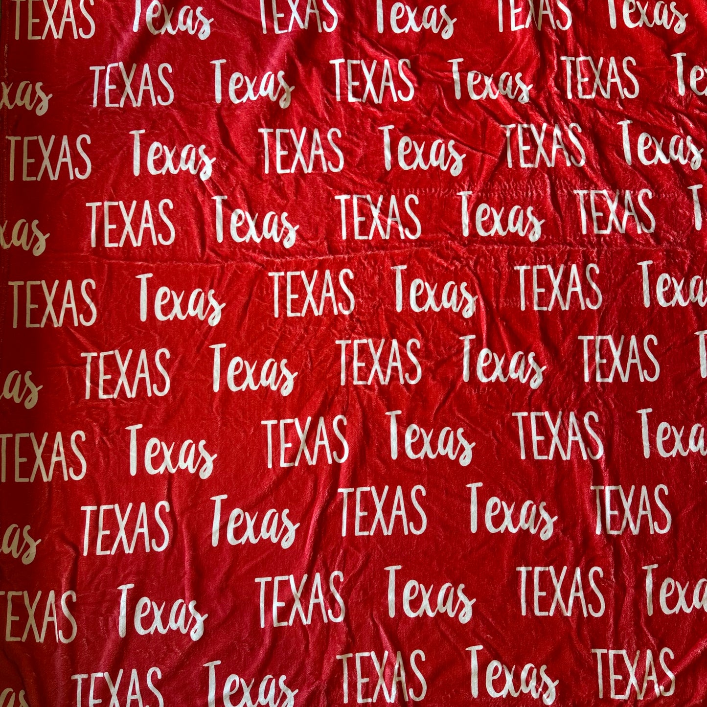 Texas Minky Blanket